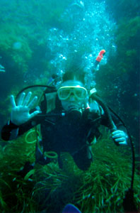 Photo - divingImage1